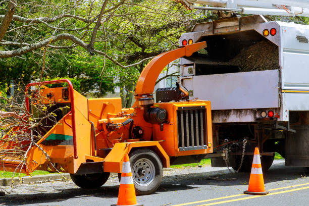 Lawn Maintenance Plans in Manhasset Hills, NY